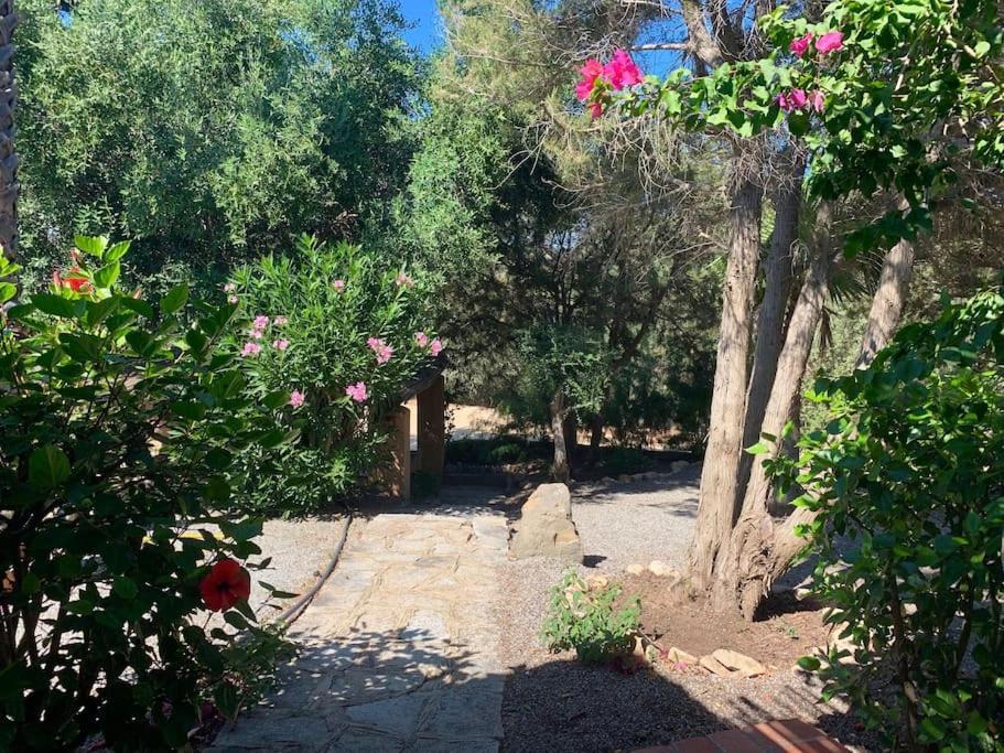 Villa Margiu 维拉西米乌斯 外观 照片